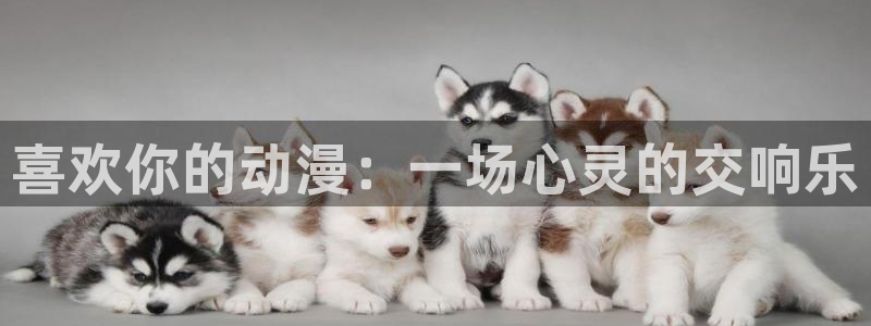 78动漫变形金刚