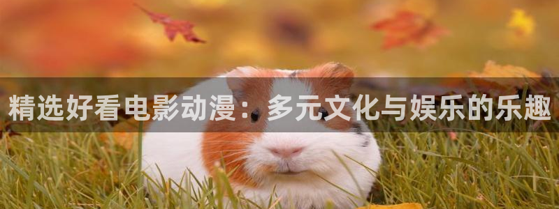 78动漫网下载：精选好看电影动漫：多元文化与娱乐的乐趣