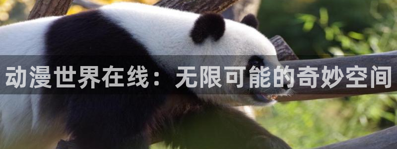 78动漫周边：动漫世界在线：无限可能的奇妙空间