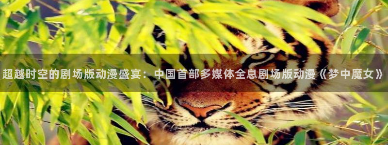 78动漫网站关闭?