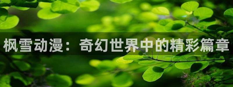 78动漫在线看