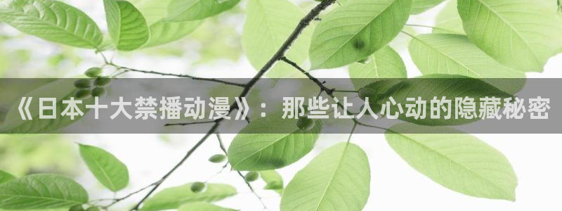 178动漫之家：《日本十大禁播动漫》：那些让人心动的隐藏秘密
