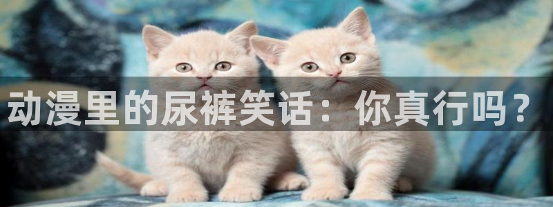 78动漫网打不开：动漫里的尿裤笑话：你真行吗？