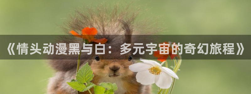 78动漫 官网：《情头动漫黑与白：多元宇宙的奇幻旅程》