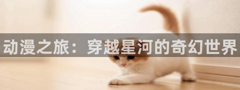 78动漫：动漫之旅：穿越星河的奇幻世界